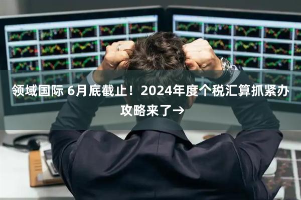 领域国际 6月底截止！2024年度个税汇算抓紧办 攻略来了→