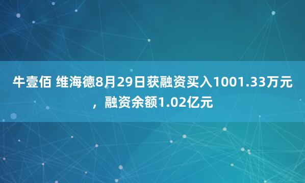 牛壹佰 维海德8月29日获融资买入1001.33万元,融资余额1.02亿元