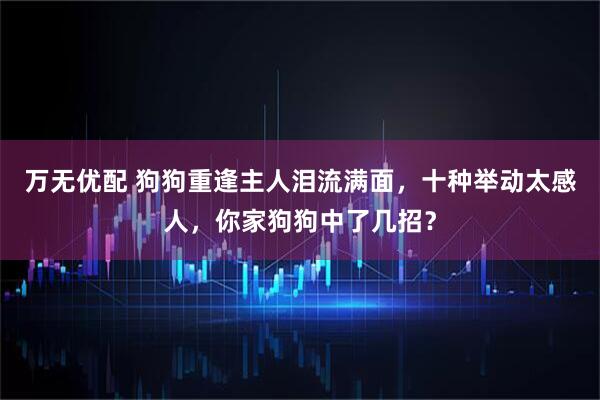 万无优配 狗狗重逢主人泪流满面，十种举动太感人，你家狗狗中了几招？